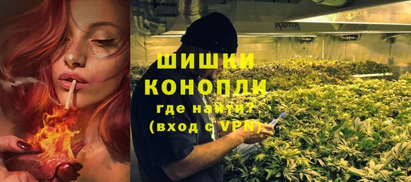 дживик Абаза