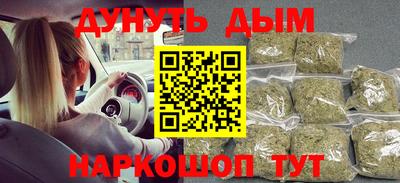 спиды Гай