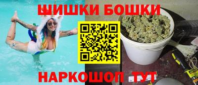 спиды Гай