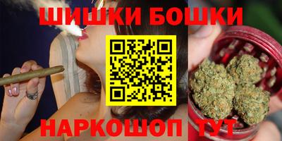 спиды Гай