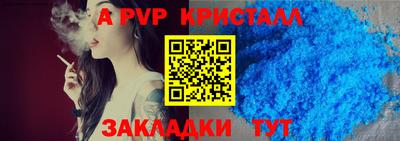 спиды Гай