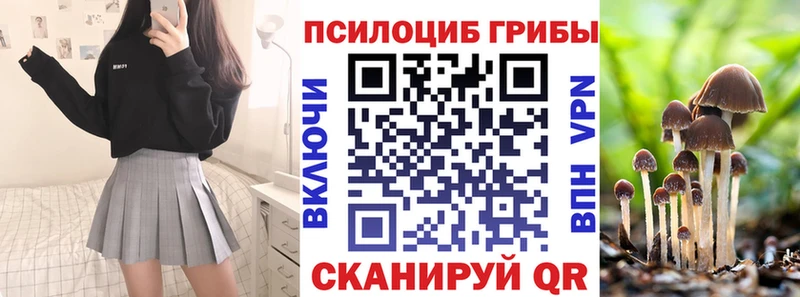 где купить наркоту  Камень-на-Оби  Псилоцибиновые грибы ЛСД 