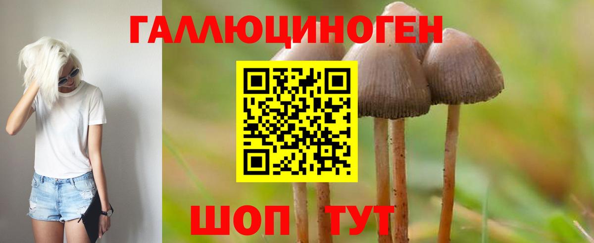 Псилоцибиновые грибы MAGIC MUSHROOMS Камень-на-Оби